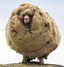 30cm rond anti-courants dair pour cheminée au lain de mouton 